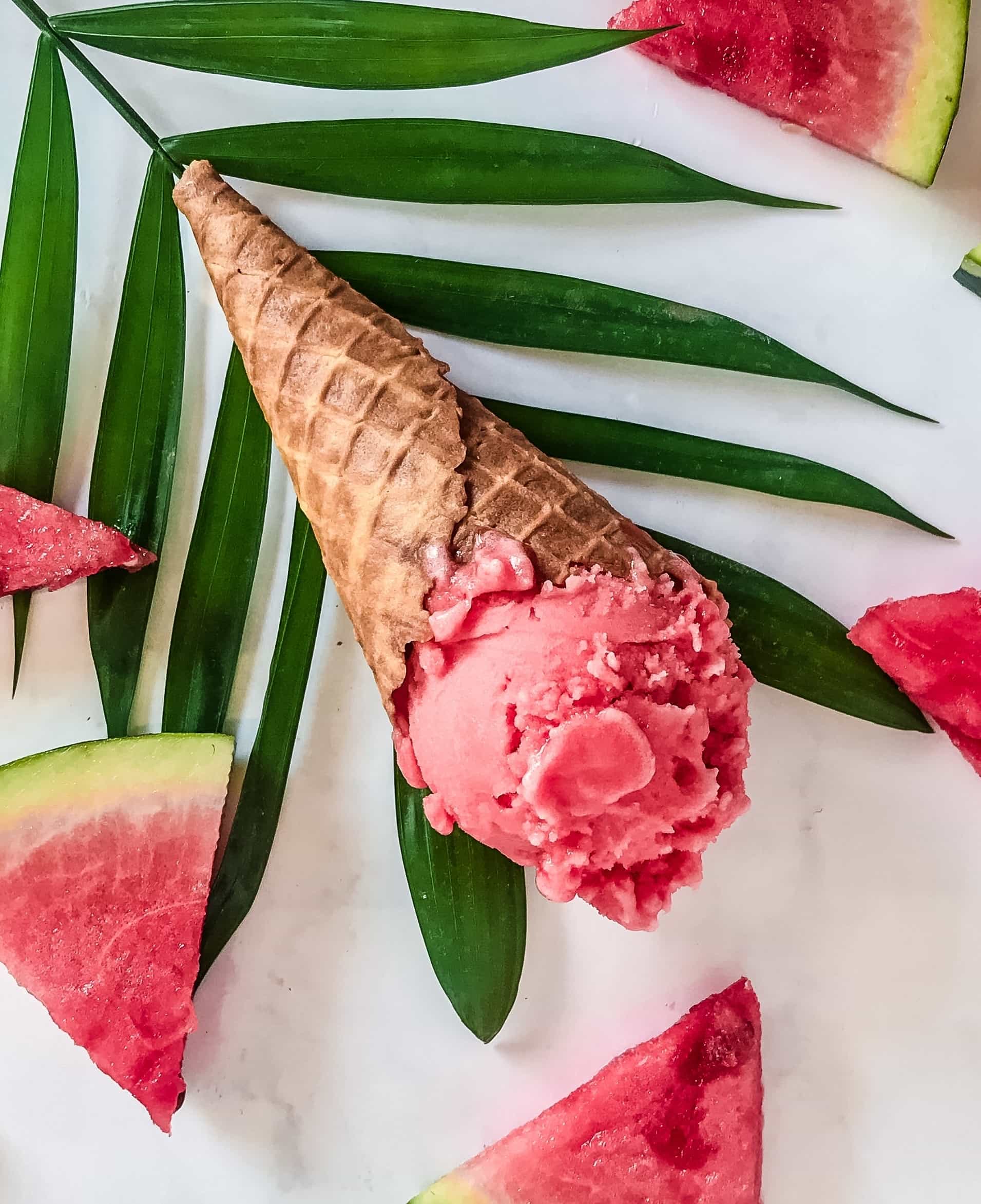 photo de glace vegan